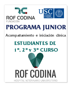 programa junior-es