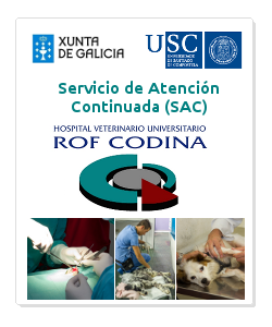 becas SAC
