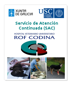 becas SAC