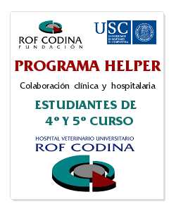 programa helper-es