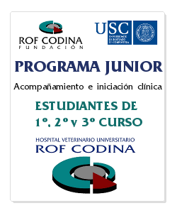 programa junior-es