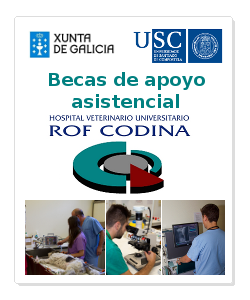 becas apoyo