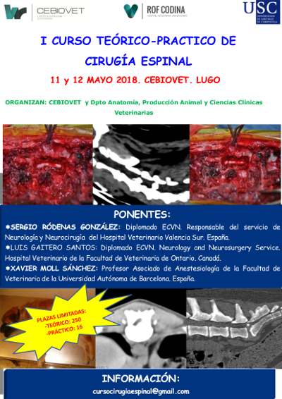 cirugia espinal-poster