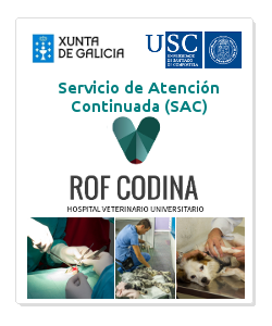 becas sac